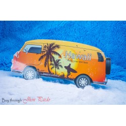 CUADRO COMBI HAWAI