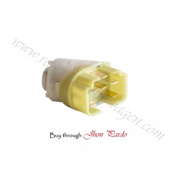 CEBOLLA ENCENDIDO GOLF/VENTO