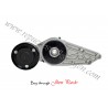 TENSOR POLEA ALTERNADOR AUDI A4 1.8T 04/09